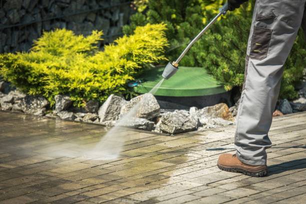 Animal Enclosure Cleaning in Mount Juliet, TN